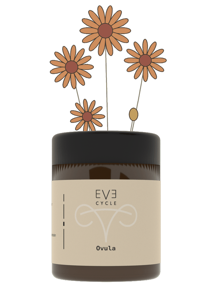 Ovula Glas