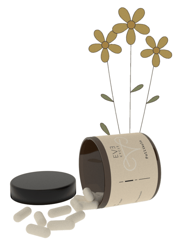 Follikula-Glas von Eve-Cycle mit Blüten und Kapseln