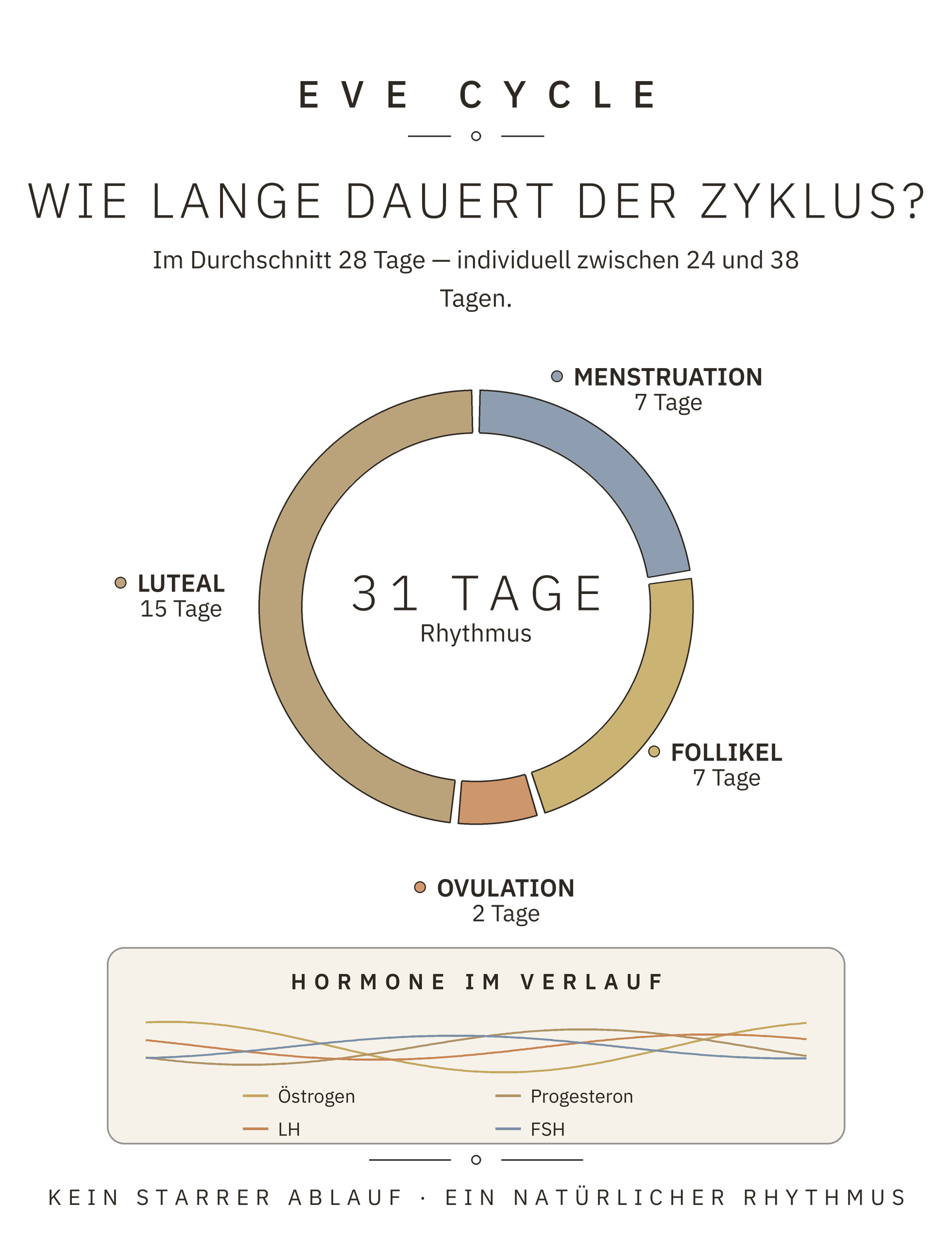 Infografik: Wie lange dauert der Zyklus? 31-Tage-Rhythmus der vier Phasen