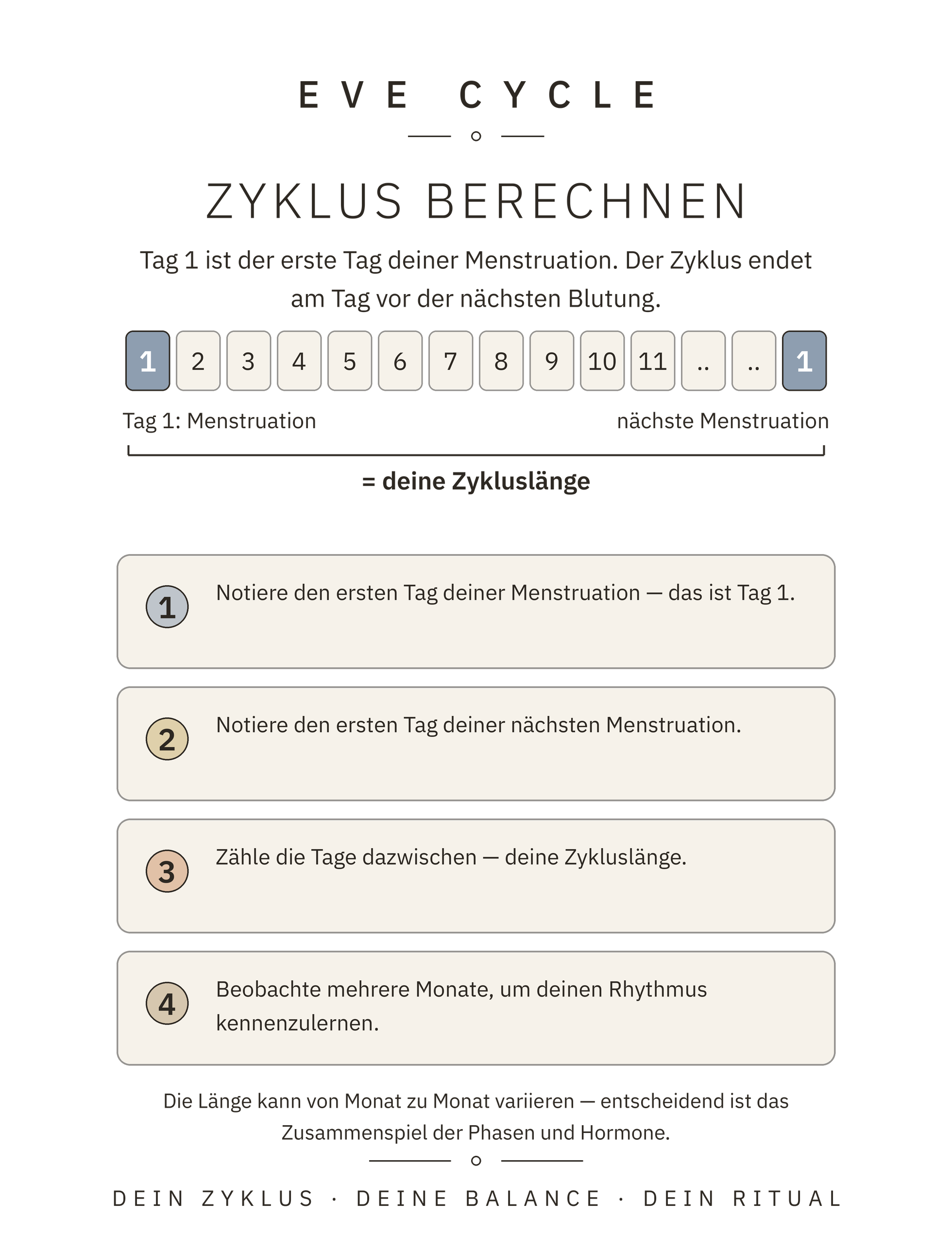 Infografik: Zyklus berechnen in vier Schritten