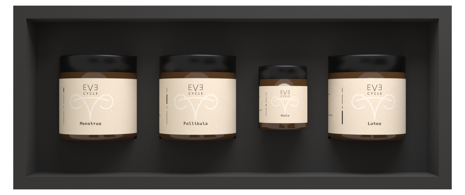 Eve-Cycle geöffnet: Menstrua, Follikula, Ovula und Lutea